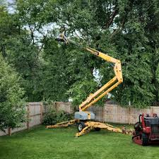 Trusted Bertram, TX Tree Services Experts